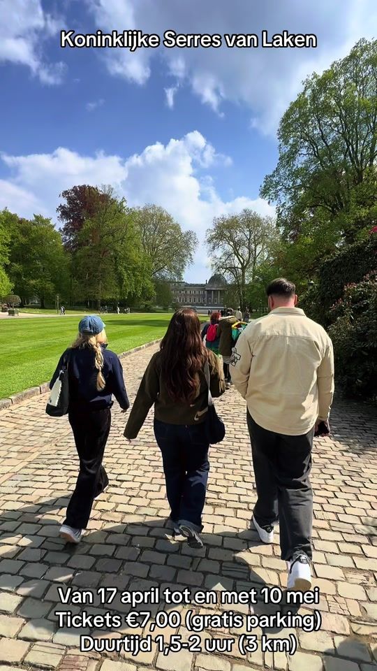 TikTok video thumbnail by timmyvl