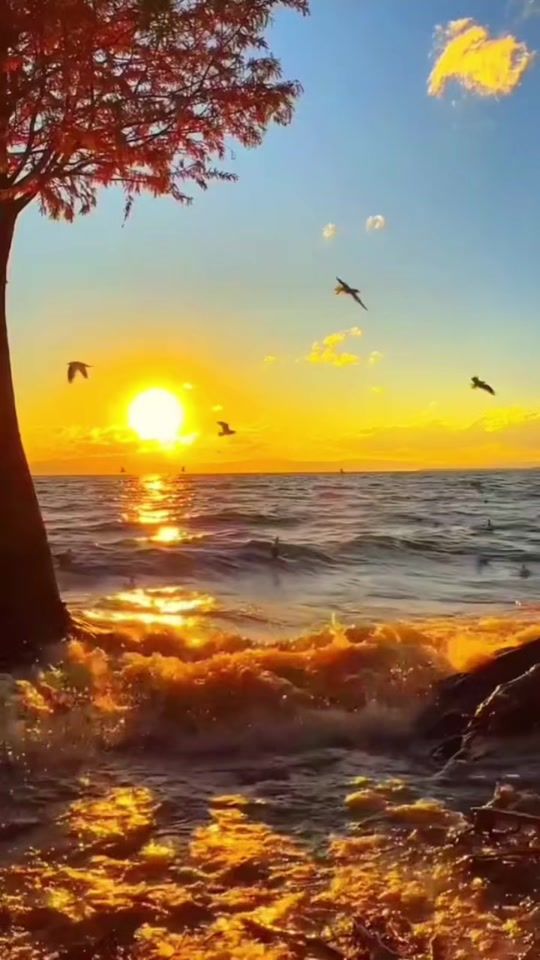 TikTok video thumbnail by tracey1129