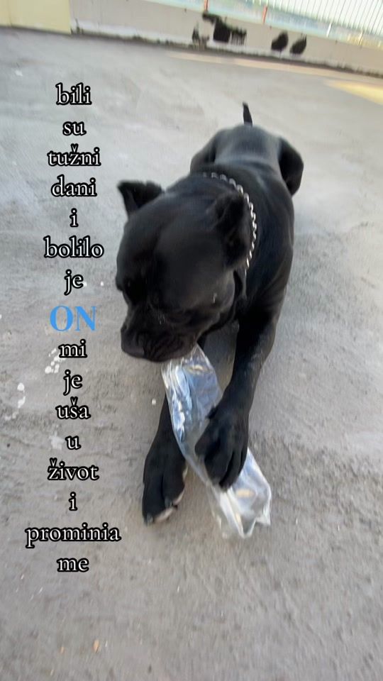 TikTok video thumbnail by mjau07