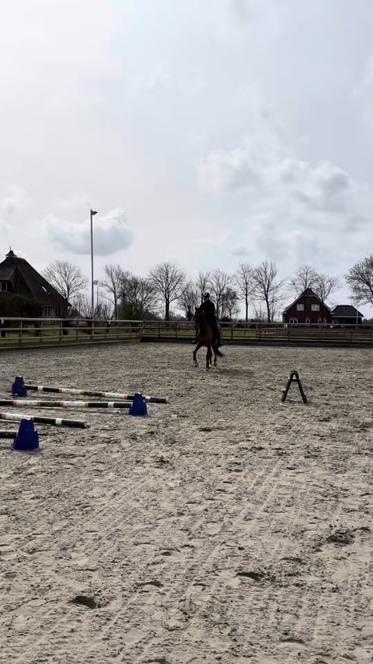TikTok video thumbnail by equi_maartje