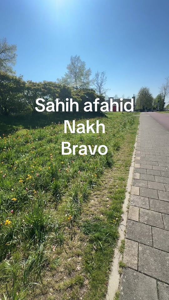 TikTok video thumbnail by fatimarifiyavlog