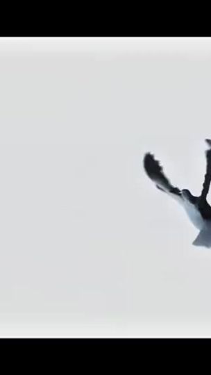 TikTok video thumbnail by 4ever_jah