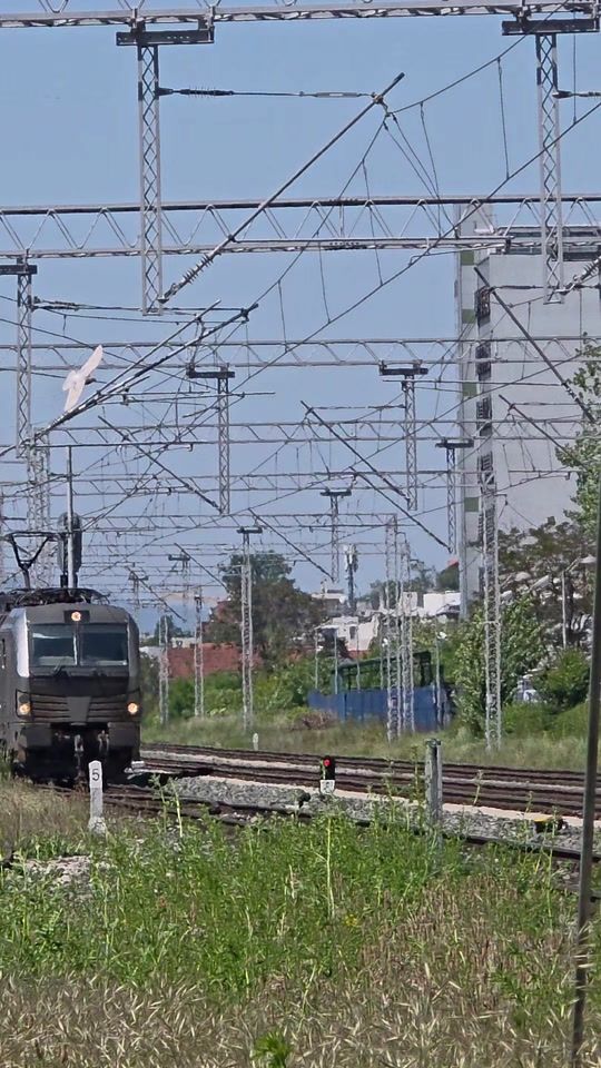 TikTok video thumbnail by trax_cro