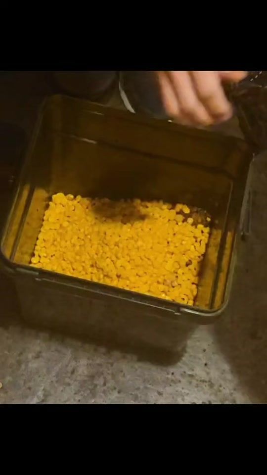 TikTok video thumbnail by flomby_c.r