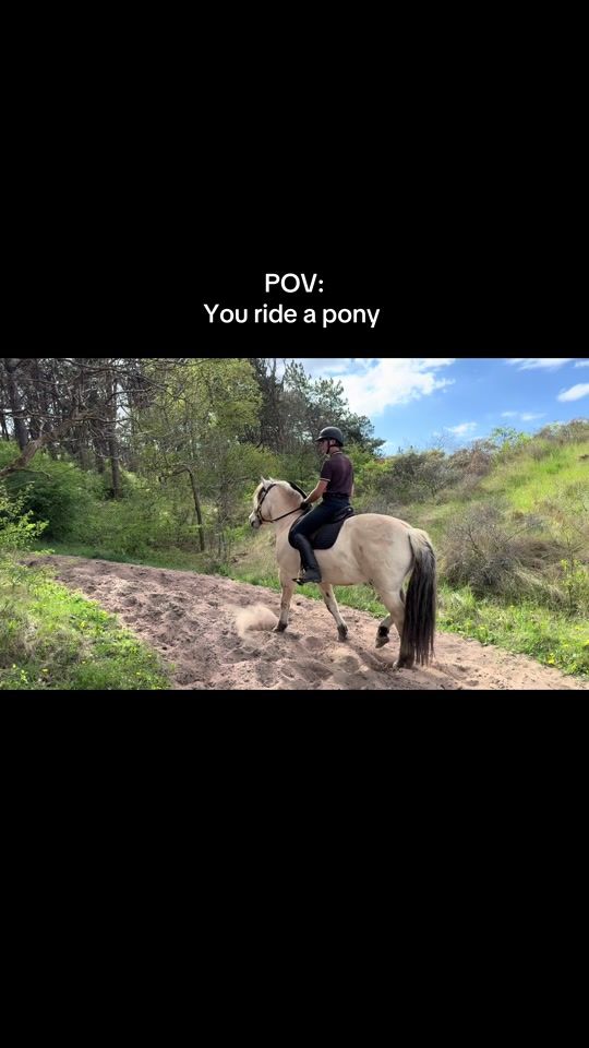TikTok video thumbnail by diego.marloes