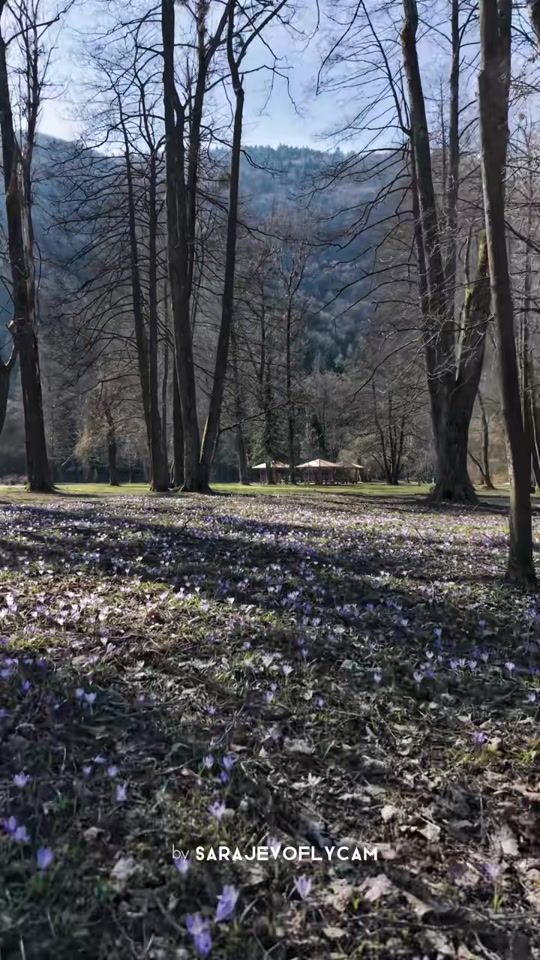 TikTok video thumbnail by vuky26