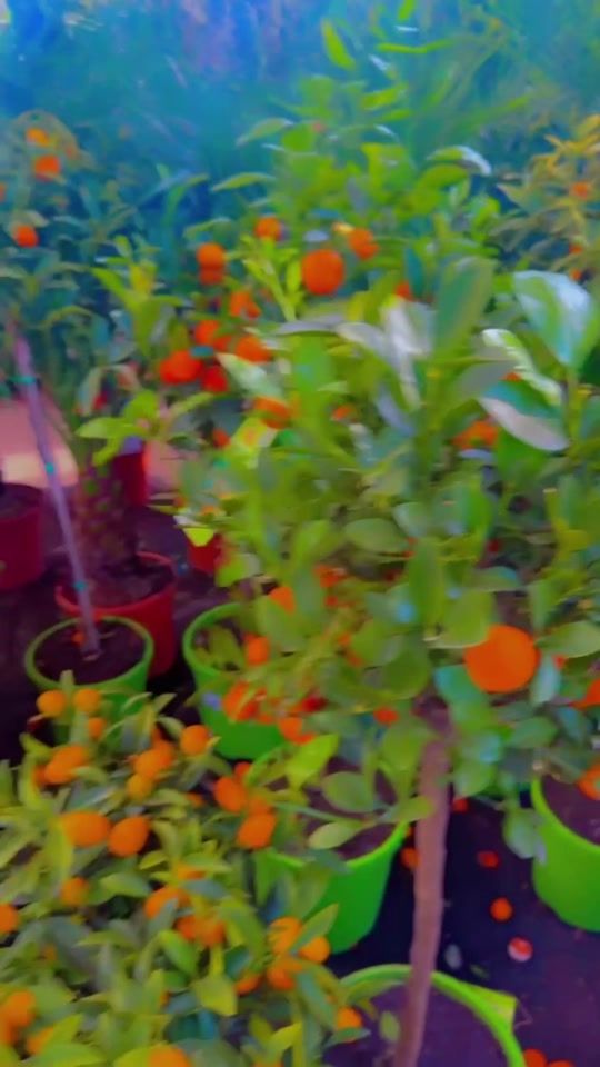 TikTok video thumbnail by hiba_home