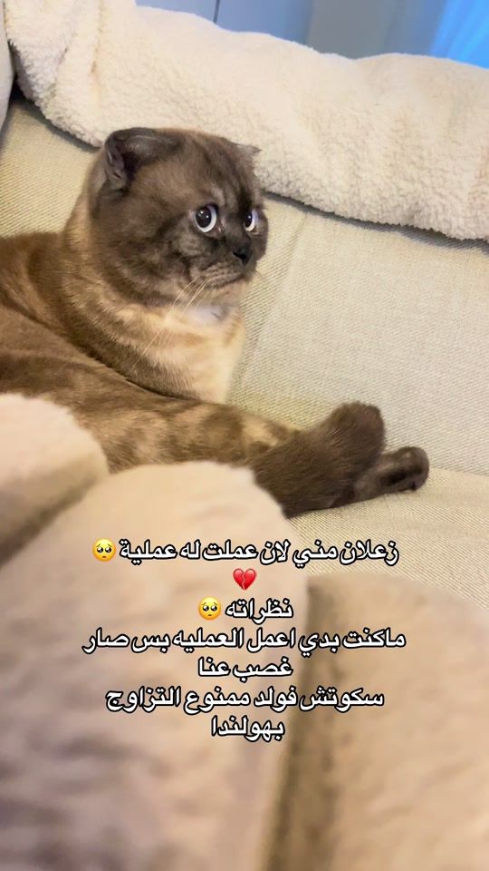 TikTok video thumbnail by sawsan_882