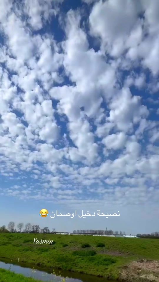 TikTok video thumbnail by yasminsido3