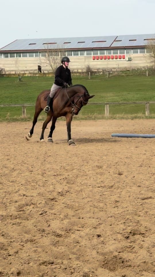 TikTok video thumbnail by _equestrian.lrx