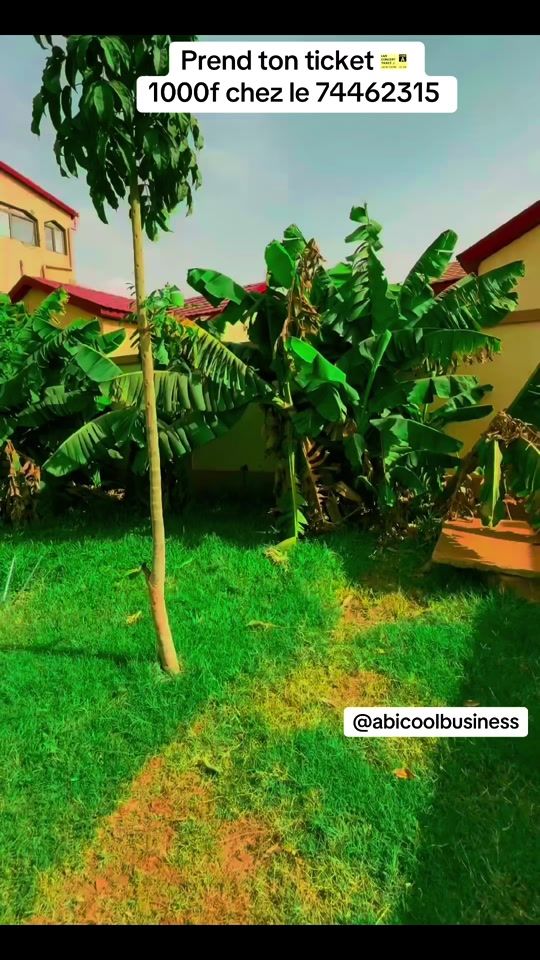 TikTok video thumbnail by abicoolbusiness