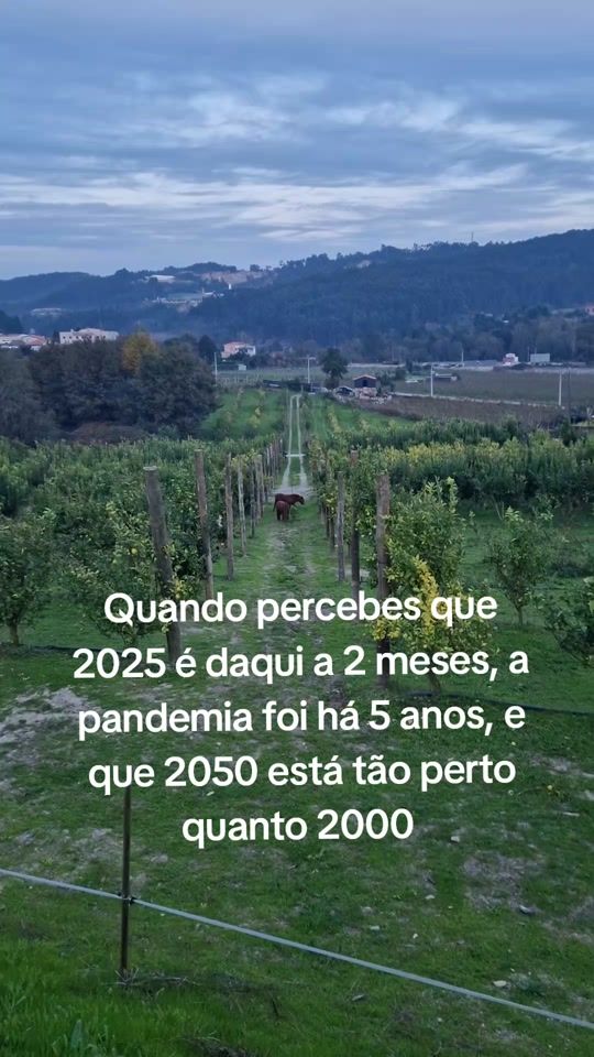TikTok video thumbnail by oporto.lemon.farm