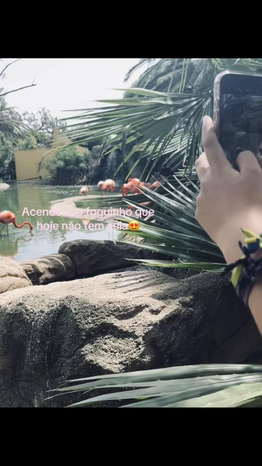 TikTok video thumbnail by republicaaa_