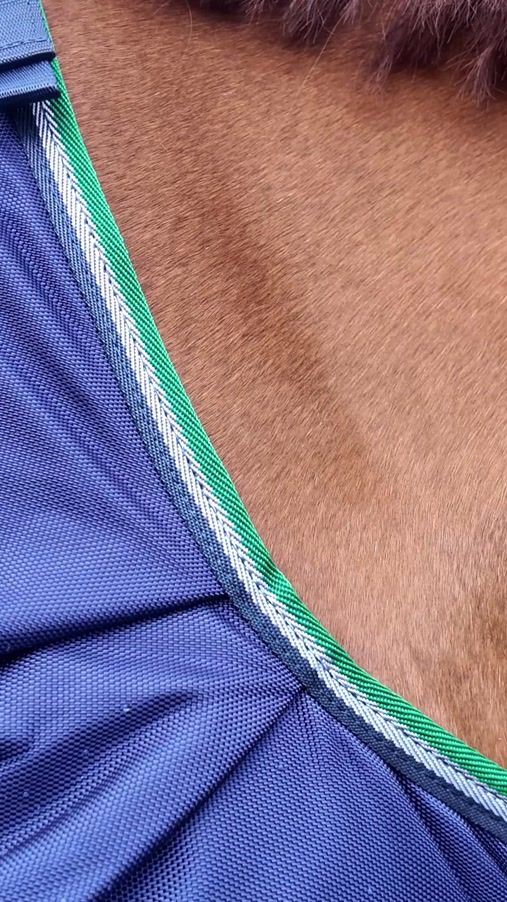 TikTok video thumbnail by bucasnederland