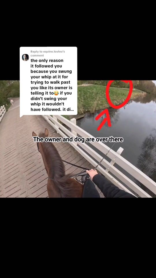 TikTok video thumbnail by davesylvana