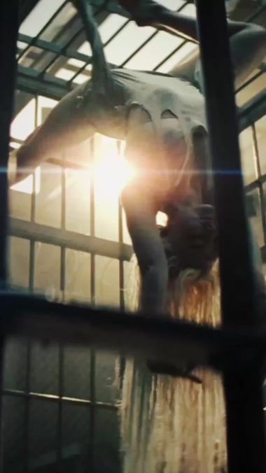 TikTok video thumbnail by elliescv