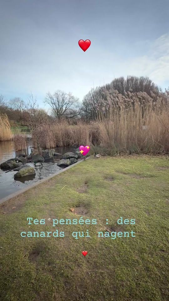 TikTok video thumbnail by cours.des.nations2