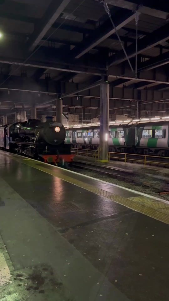 TikTok video thumbnail by hollyvlogsofficial