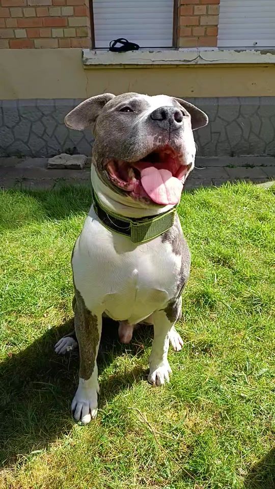 TikTok video thumbnail by vladimirpoutine1974