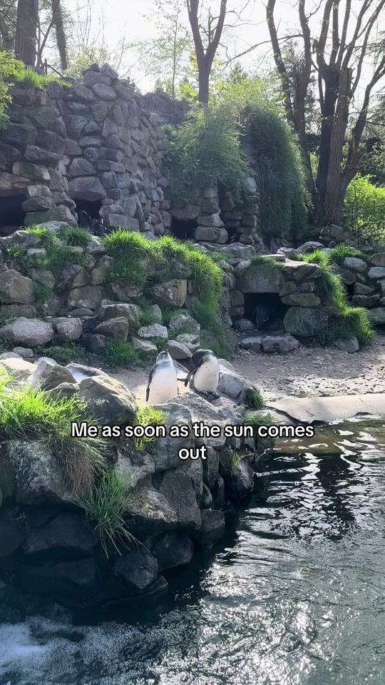 TikTok video thumbnail by ilsemulder
