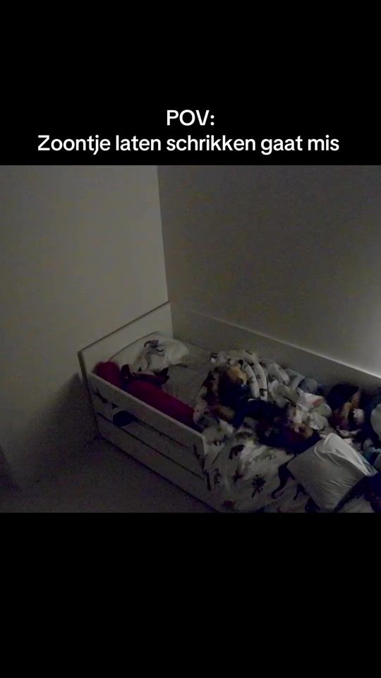 TikTok video thumbnail by barbara.shannon