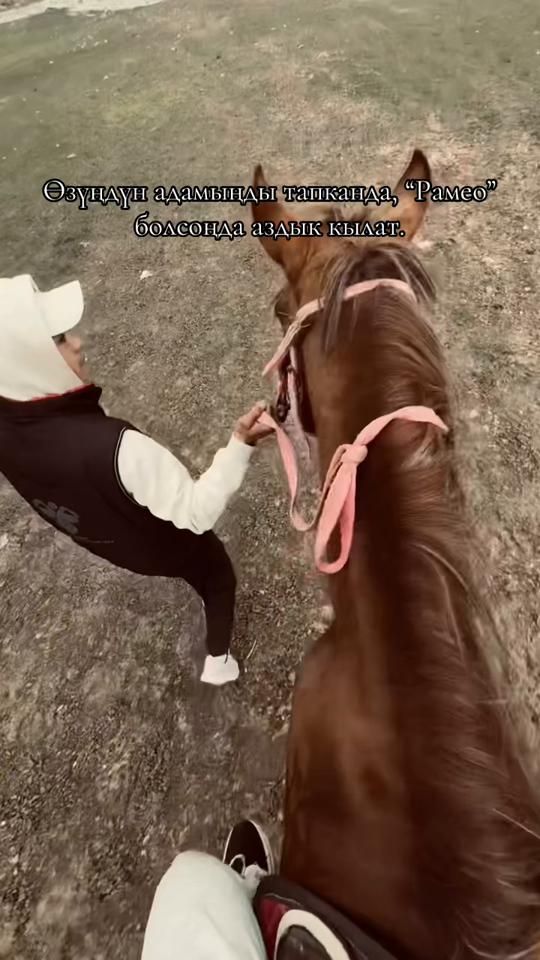 TikTok video thumbnail by sako_osh