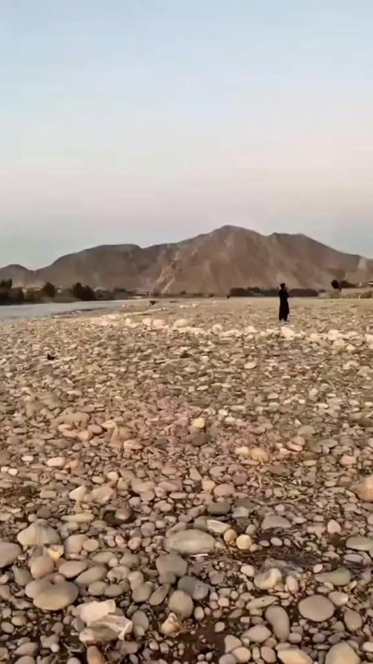 TikTok video thumbnail by layamnangarhari