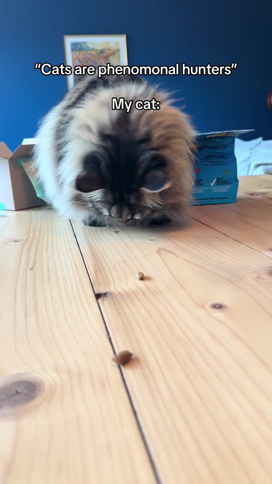TikTok video thumbnail by pabloandpenelope