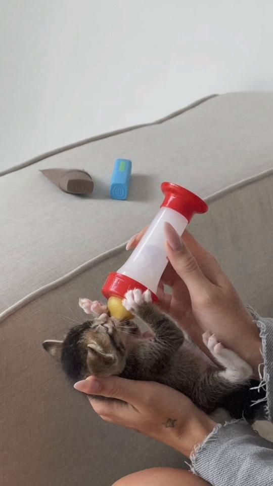 TikTok video thumbnail by gretalion