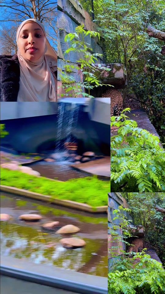 TikTok video thumbnail by mahbubaa96