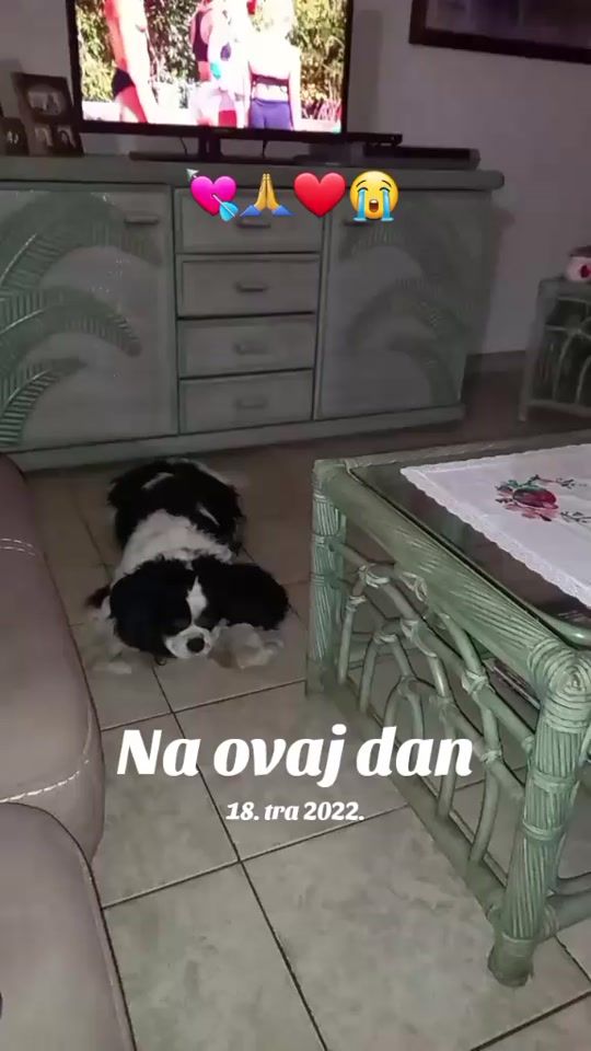 TikTok video thumbnail by verasumic