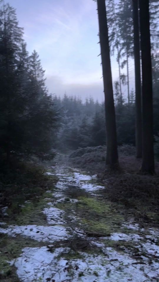 TikTok video thumbnail by blaccberry