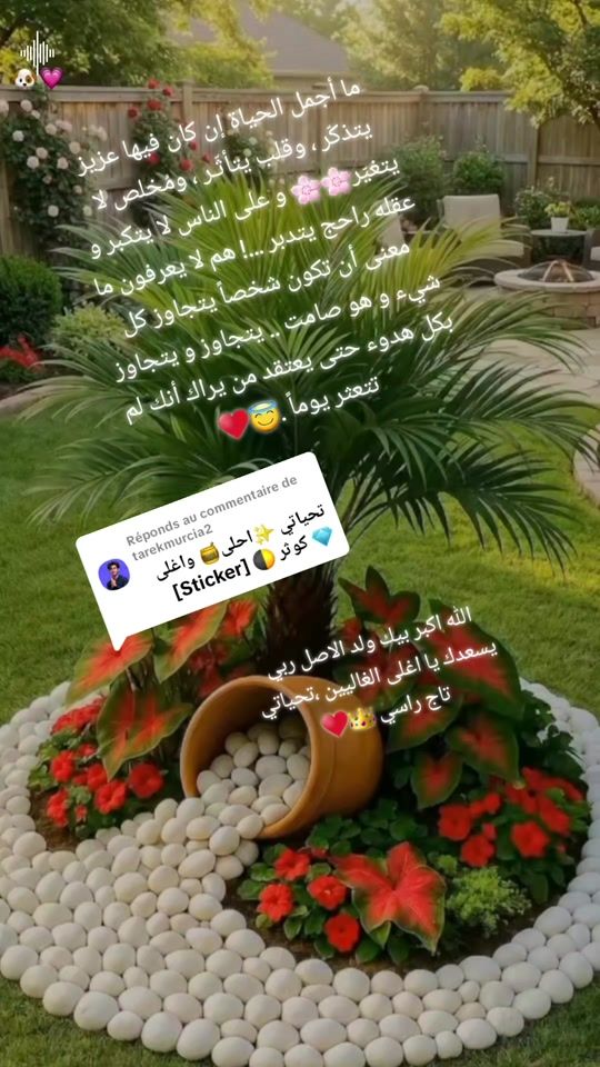 TikTok video thumbnail by meryamrfiya