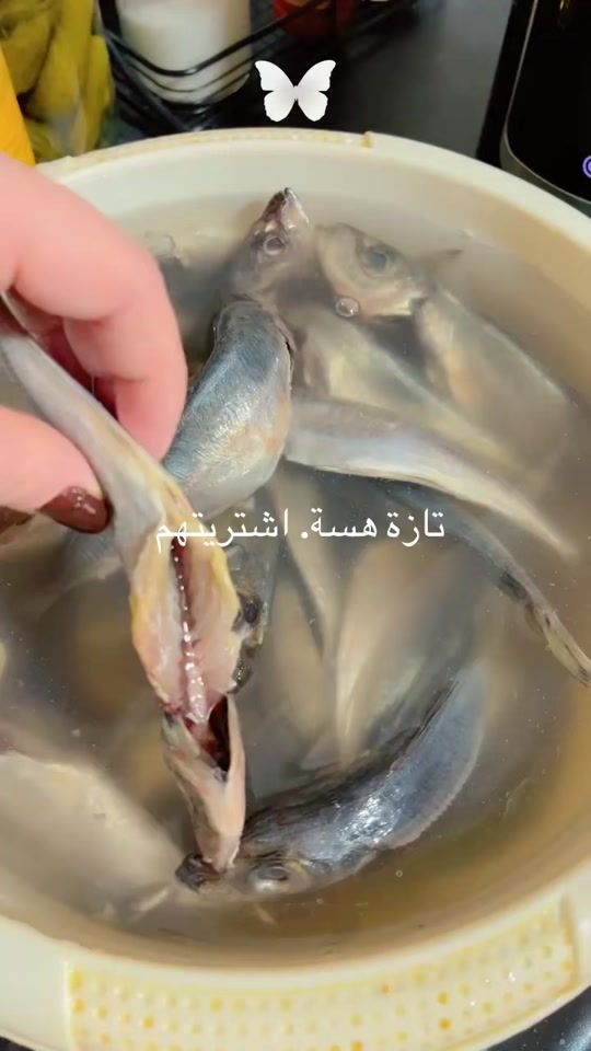 TikTok video thumbnail by reemreem2174