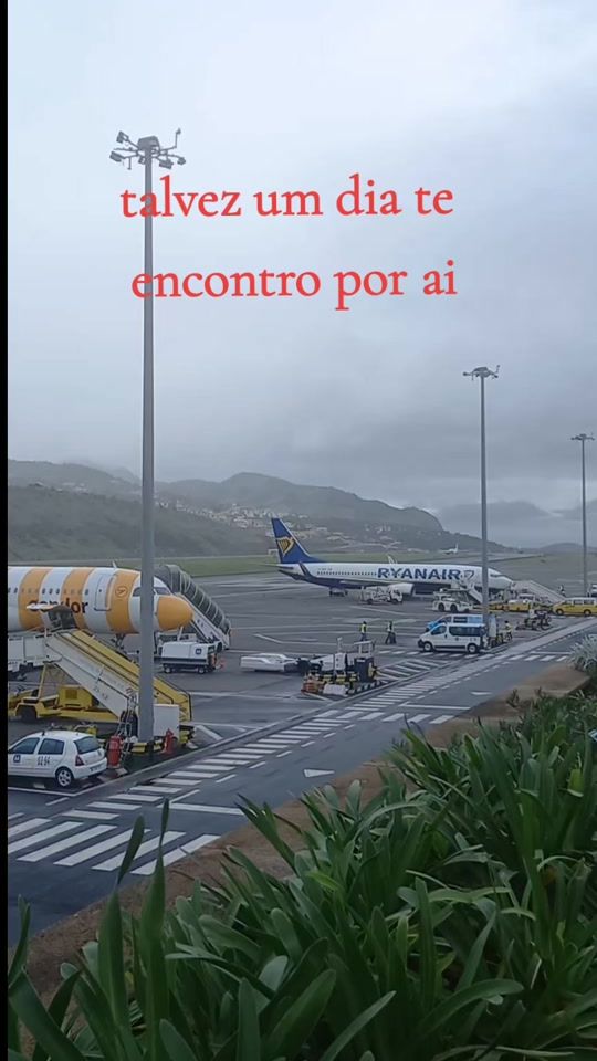 TikTok video thumbnail by luciacatanho59