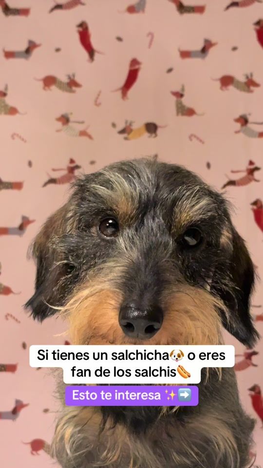 TikTok video thumbnail by mireiafeme.ugc