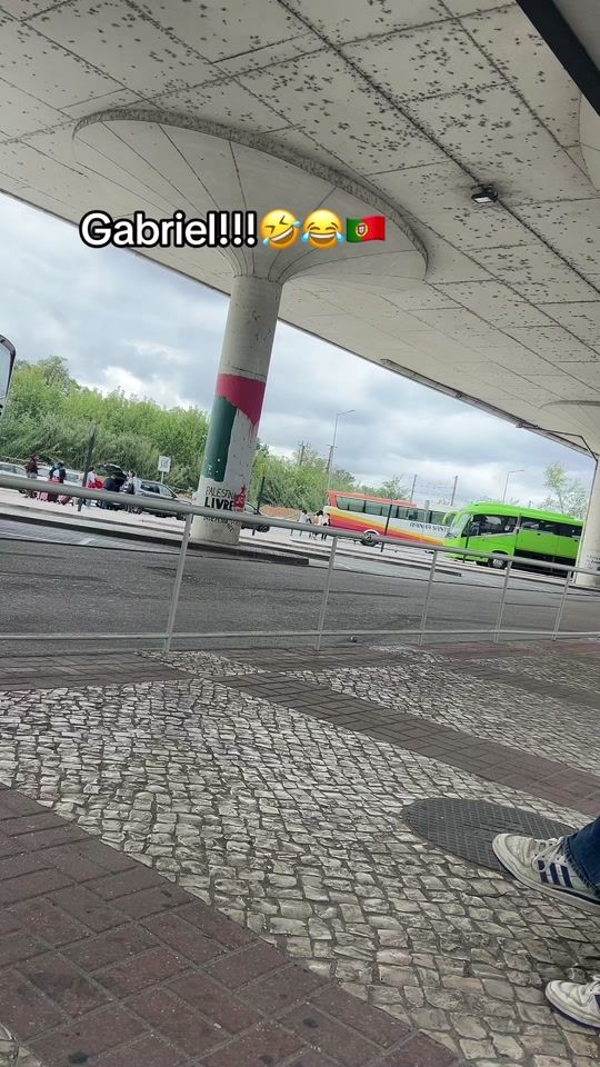 TikTok video thumbnail by ruivinhadesantarem