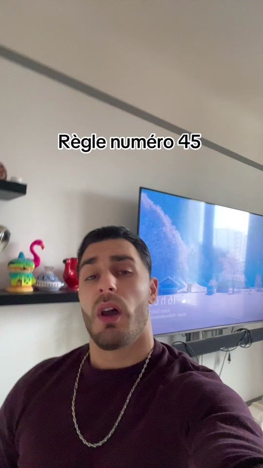 TikTok video thumbnail by linconnu_244