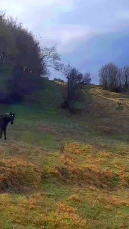 TikTok video thumbnail by ngapermeti