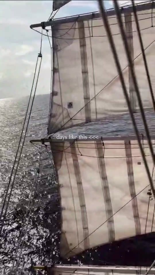 TikTok video thumbnail by schoolatsea
