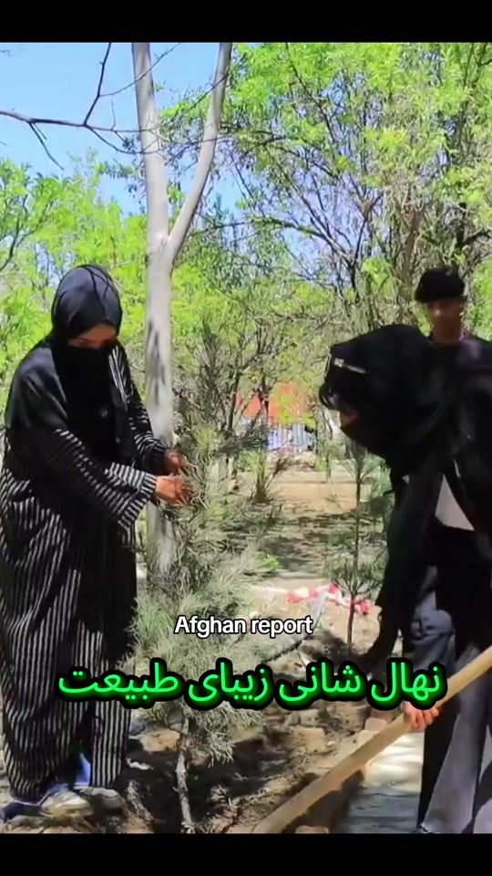 TikTok video thumbnail by afghan_report