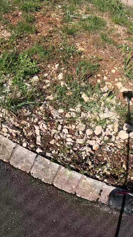 TikTok video thumbnail by mihael665