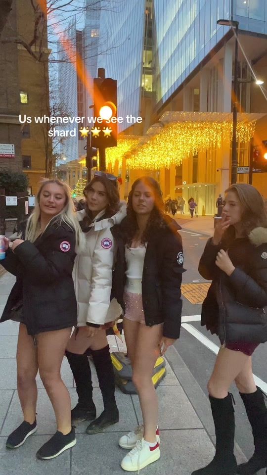 TikTok video thumbnail by sophialevett