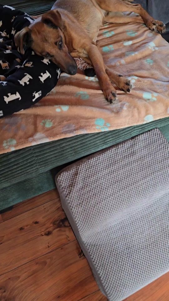 TikTok video thumbnail by lasse_und_leif