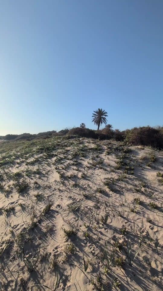 TikTok video thumbnail by karim_sakis
