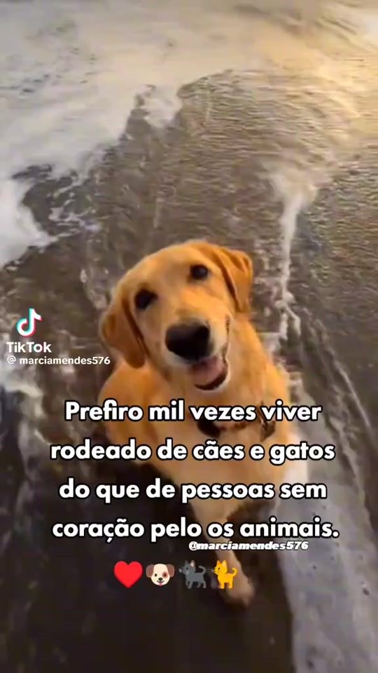 TikTok video thumbnail by catarinajeronimo343