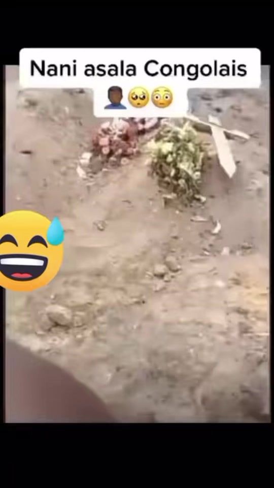 TikTok video thumbnail by schador.tv