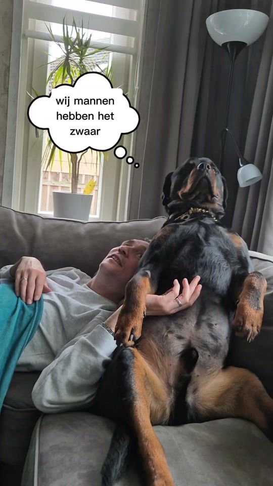 TikTok video thumbnail by miralkorkmaz