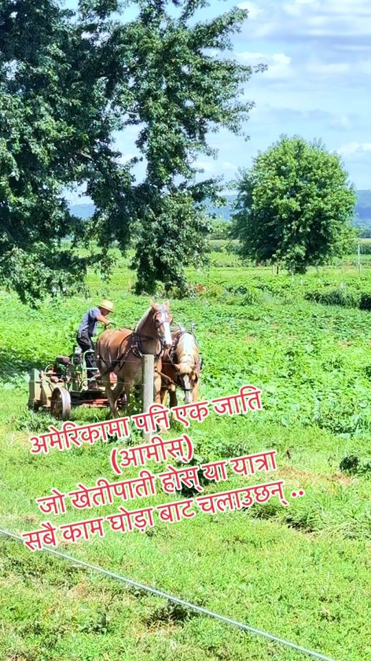 TikTok video thumbnail by shashi55766