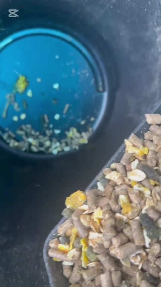 TikTok video thumbnail by maman.fille01